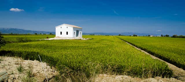 Tour por el Delta del Ebro