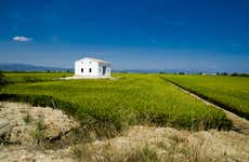 Tour por el Delta del Ebro