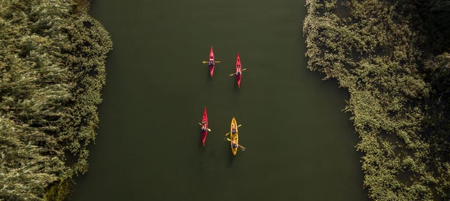 Tour en kayak a la isla de Gracia
