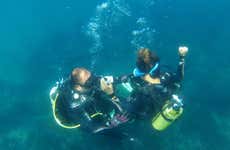 Immersione per principianti a Denia