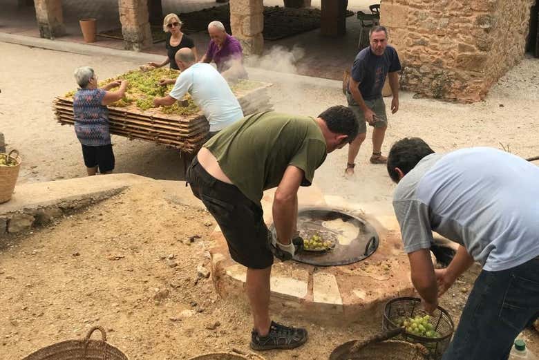 Alla scoperta dei legami di Denia con l'uva e l'uva sultanina