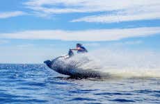 Tour en moto de agua por la costa de Denia