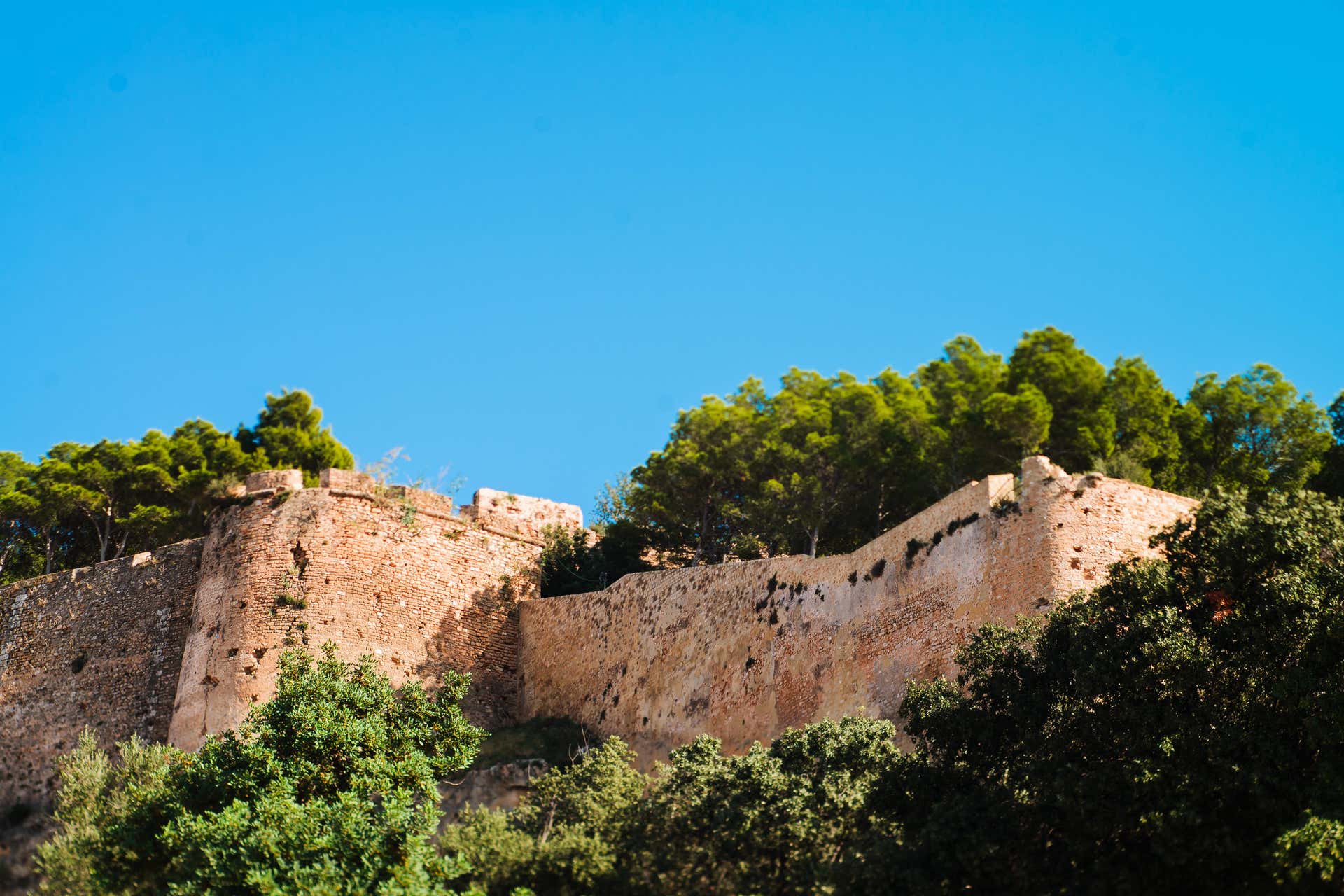 Visita guiada por Denia y su castillo