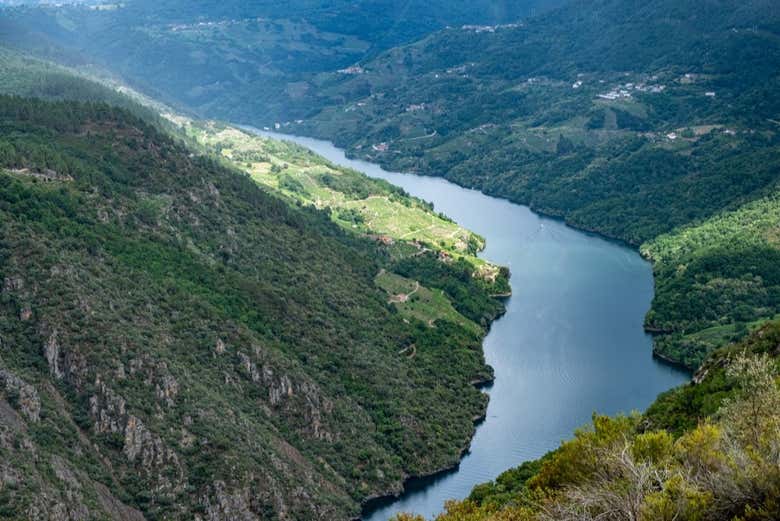 Maravillaos con las vistas panorámicas de la Ribeira Sacra