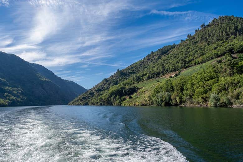 Vivid una travesía inolvidable por el corazón de Galicia