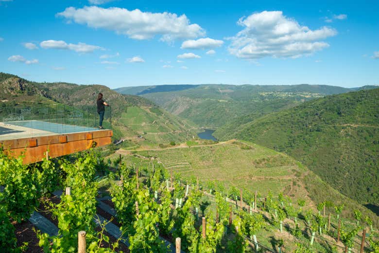 Mirador de la bodega Regina Viarum sobre el Sil