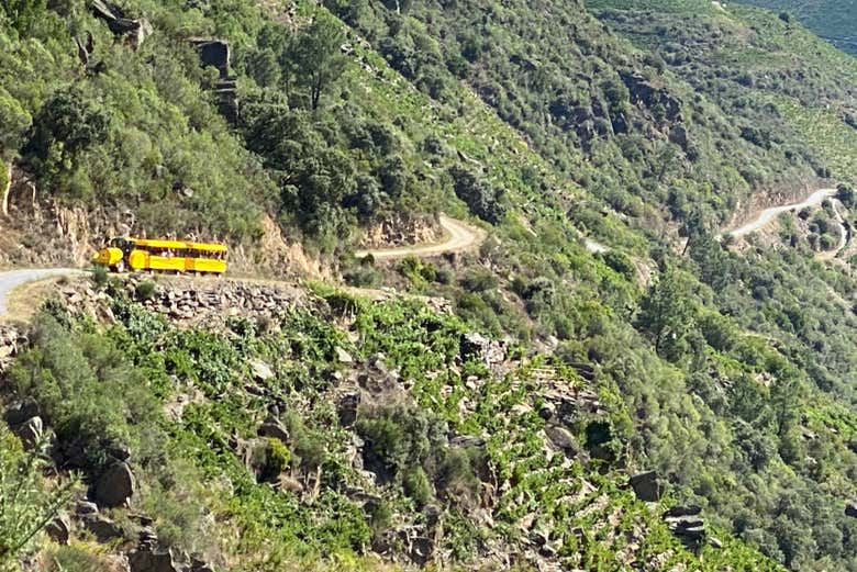 Trem pela Ribeira Sacra