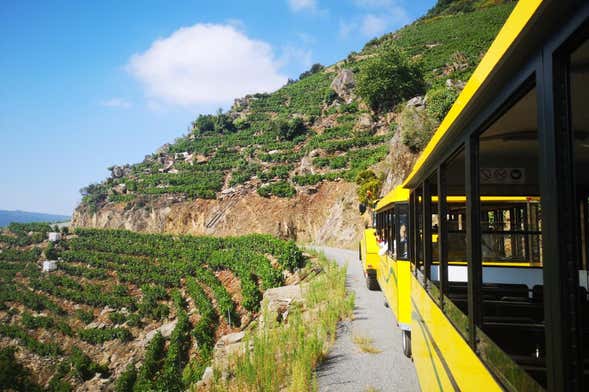 Tren turístico de la Ribeira Sacra