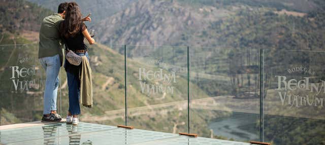 Visita a la bodega Regina Viarum