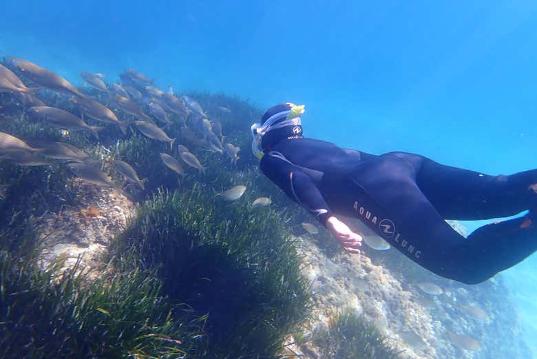 Observez la faune marine de Cala Delta