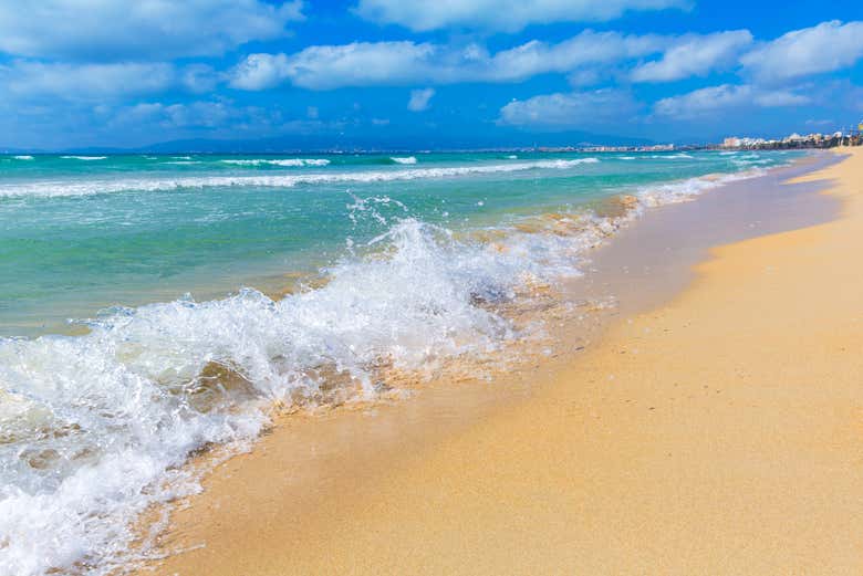 Les plages d'El Arenal
