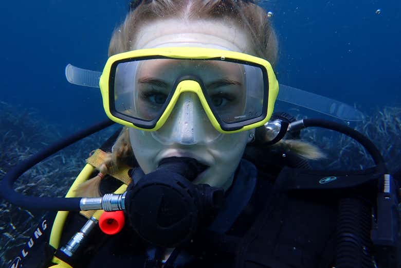 Observez la biodiversité sous-marine de Majorque