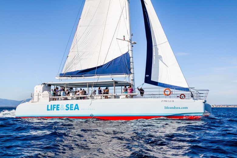 Traversée dans la baie de Palma depuis El Arenal
