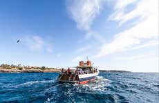 Paseo en barco por la bahía de Palma 