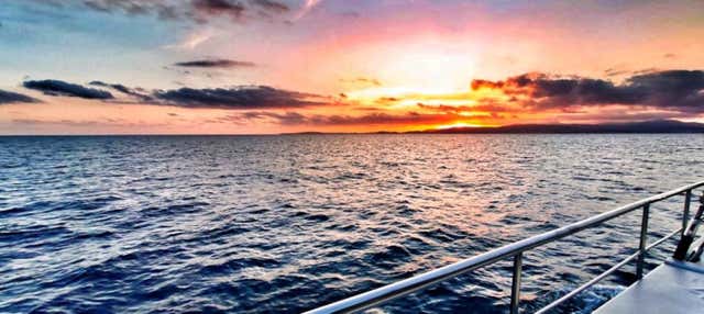Palma Bay Catamaran Trip at Sunset