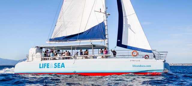 Balade en catamaran dans la baie de Palma avec barbecue