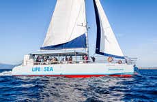 Paseo en catamarán por la bahía de Palma con barbacoa