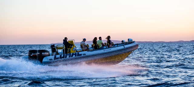 Balade en bateau à moteur dans la baie de Palma