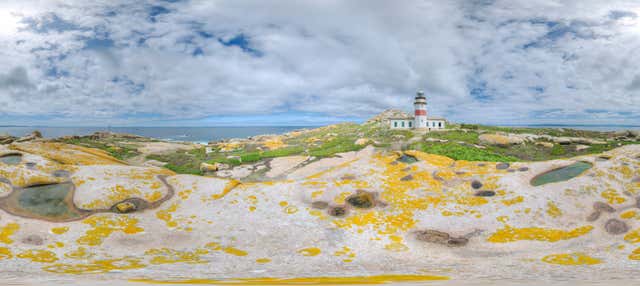 Excursión a la isla de Sálvora