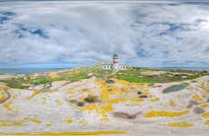 Excursión a la isla de Sálvora