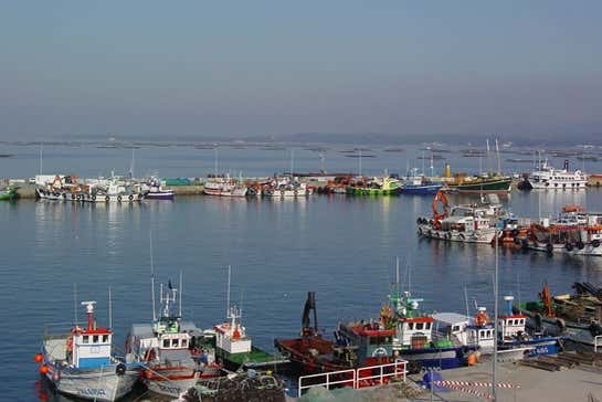 Barcos en el puerto de El Grove