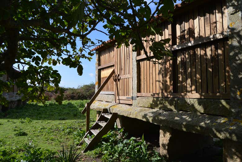 Hórreos de Sálvora