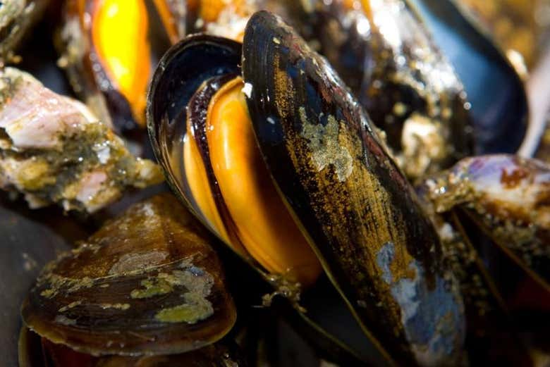Degustando deliciosos mejillones al vapor