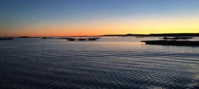 Mariscada y queimada en la ría de Arosa por la noche