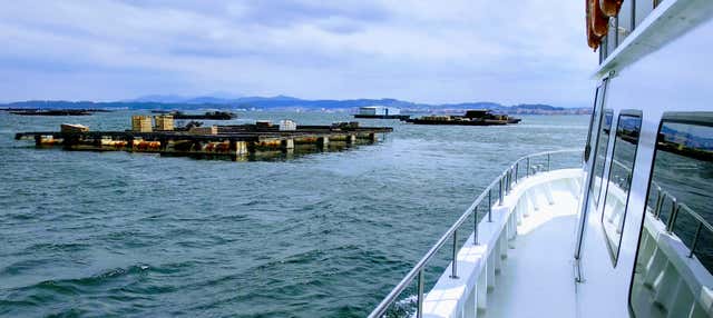 Ría de Arousa Cruise + Lunch