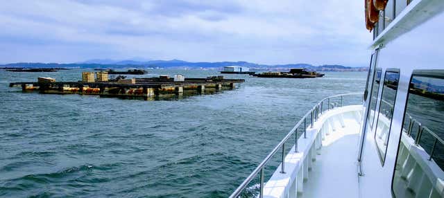 Paseo en barco por la ría de Arosa con comida