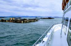 Paseo en barco por la ría de Arosa con comida