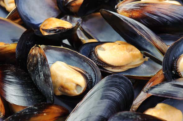 Paseo en barco por la ría + Degustación de mejillones