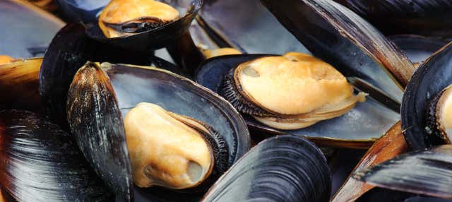 Paseo en barco por la ría + Degustación de mejillones