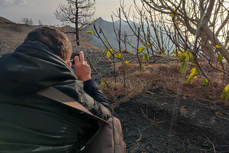 Spot the local flora