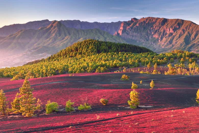 Paisajes de Llanos del Jable al atardecer