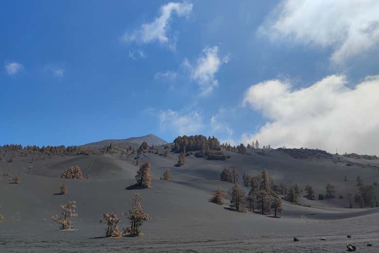 The surrounding landscape