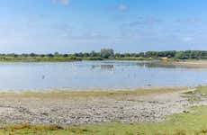 Escursione a Sanlúcar de Barrameda e Doñana