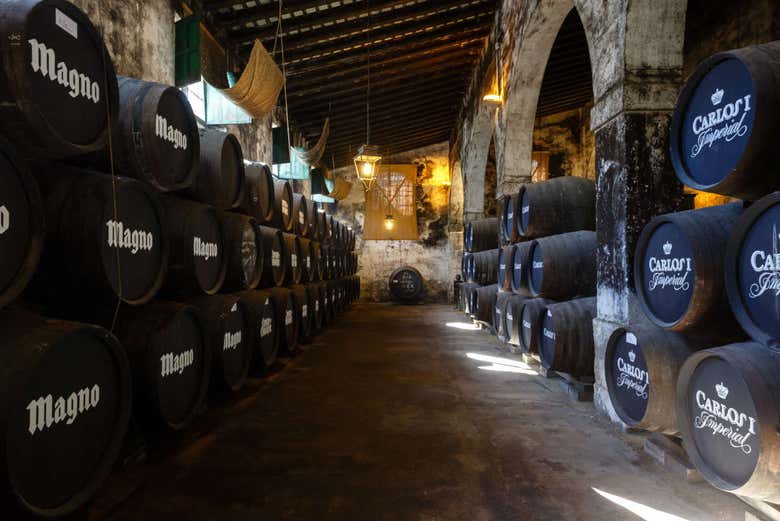 Sala di conservazione delle botti