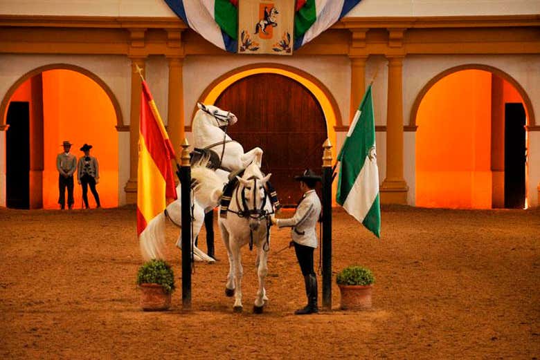 'How Andalusian horses dance' performance