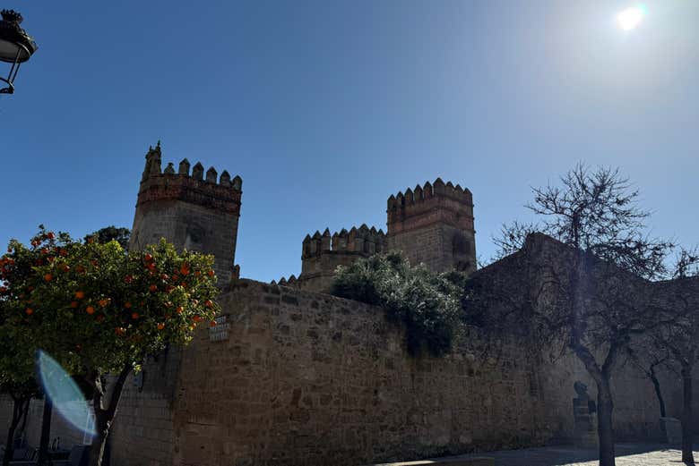 Perfil del castillo de San Marcos