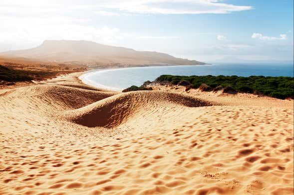 Tarifa & Baelo Claudia Day Trip