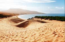 Tarifa & Baelo Claudia Day Trip