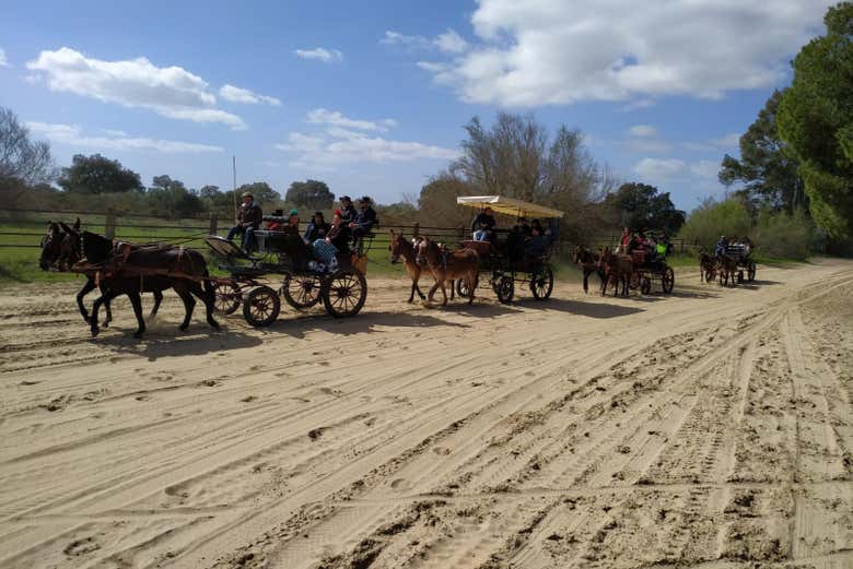 Giro in calesse