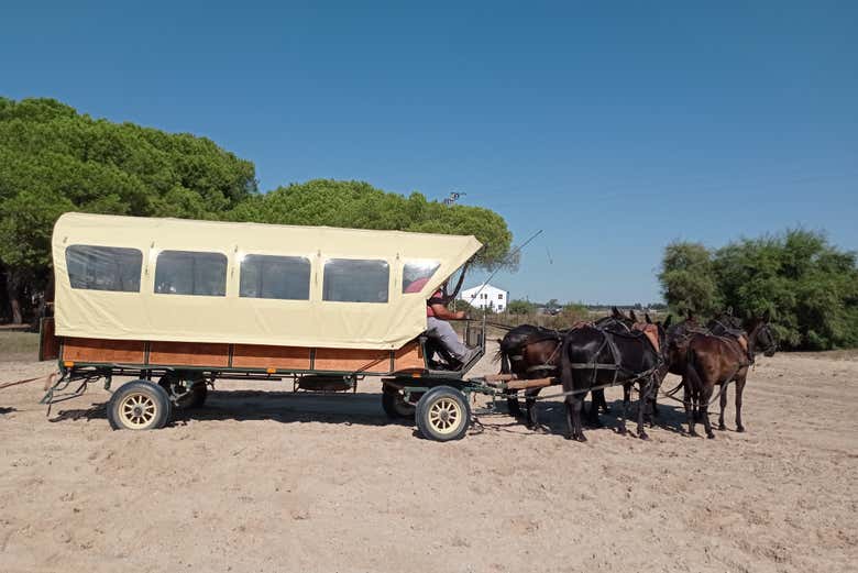 Será un tour en calesa de lo más especial