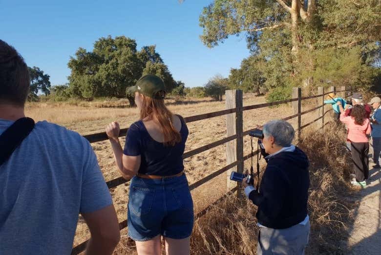 Discovering the local flora and fauna