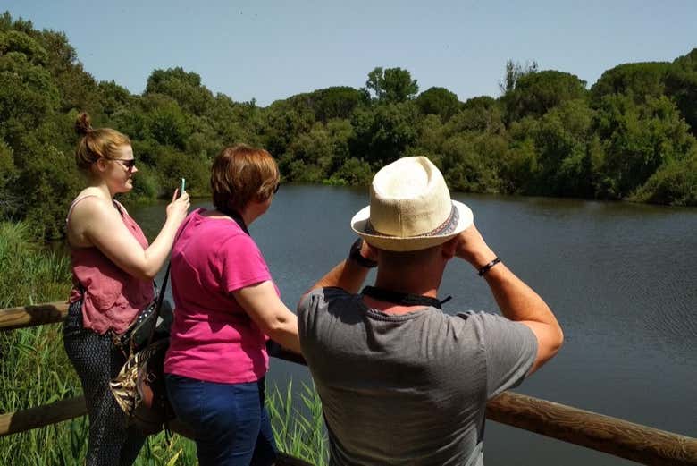 Admiring Doñana's scenery