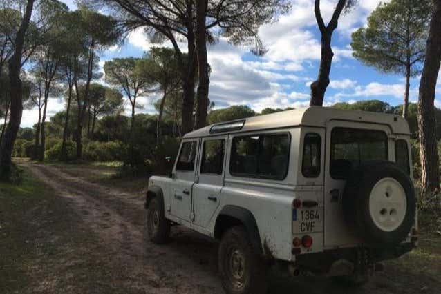 In fuoristrada 4x4 nel Parco Nazionale di Doñana