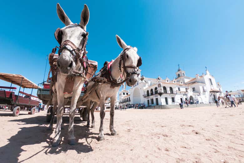 Puerta de la Ermita de El Rocío