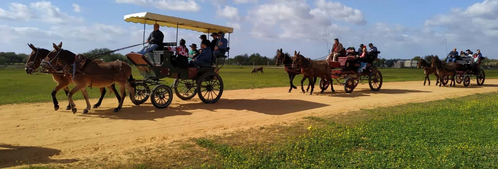Visitas guiadas y free tours en El Rocío