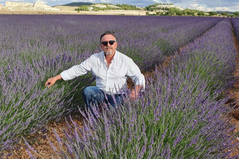 Contemplando los campos de lavanda
